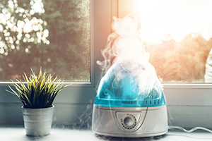 3 Ways Incorporating a Humidifier Can Decrease Energy Spending