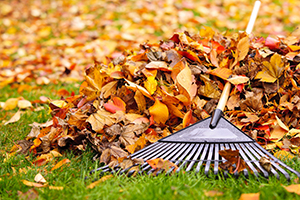 3 Reasons Why Cleaning Leaves around Your HVAC Prevents Breakdown