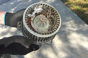 Fall is Here: Can Leaves Negatively Affect My HVAC?