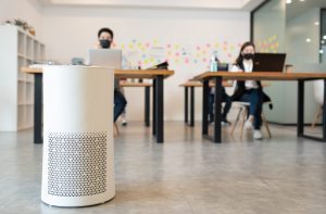 What is the Difference Between an Air Purifier and Humidifier?